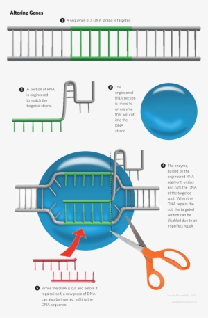 The Genetically Modified World Order - Crispr #230459