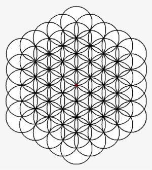 Final Completion Of The Flower Of Life - Flor De La Vida Completa #231001