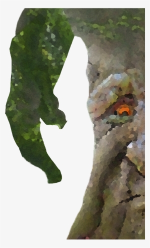 View Samegoogleiqdbsaucenao 1500505416643 , - Swamp Birch #231152