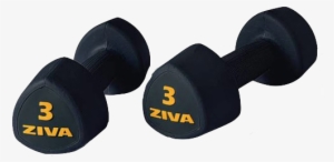 Ziva Rubber Tribell Studio Dumbbell - Dumbbell Ziva #231674