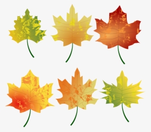 Png - Autumn Leaves Clipart #232364