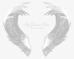 White Angel Wings - Eagle #232471