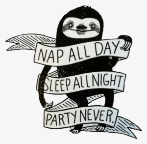 Cute Sloths Sloth Transparent Transparent Sloth - Party Never Sleep Always #232814