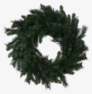 Trees N Trends #232960