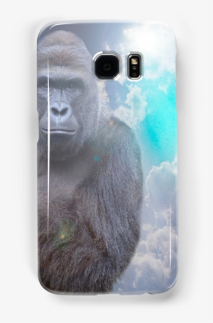 Harambe - Iphone #233291