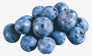 Blueberries Png #233424