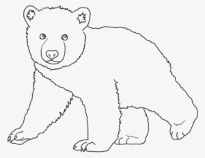 Bear Cub Sketches Images - Cub Bear Drawing #233877