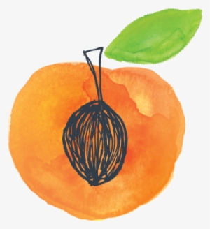 Ingredient Thumbnailsartboard 1 Copy 18-03 V=1484241768 - Peach #234227