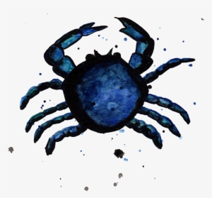 Blue Crab By Chrystal Elizabeth - Water #234594