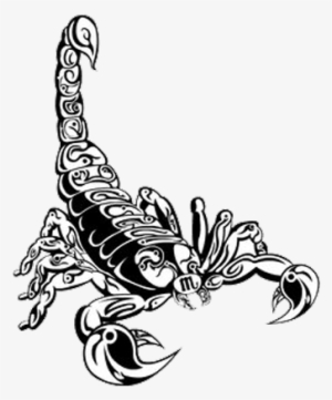 Scorpion Tattoos Transparent - Tribal Scorpion #235183