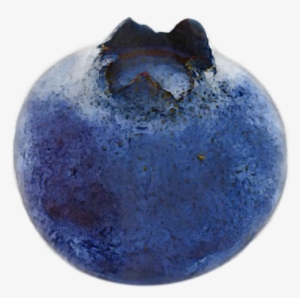 A Spartan Plant Breeder Perfects One Of Summer's Finest - One Blueberry #236060