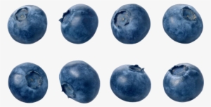 Blueberries Png - 14 Street Pizza Deals #236087