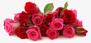 Creative Flowers By Amodio - Good Morning Rose Hd #236304