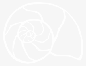 Golden Ratio Png #236920