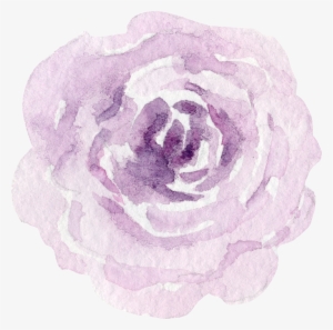 Flr - Garden Roses #237009