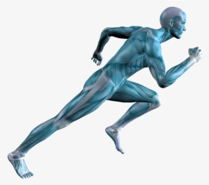 Achilles Tendinopathy - De La Resistencia Fisica #237479