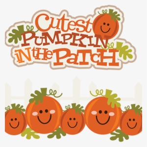 Image Royalty Free Stock Cute Elephant Hatenylo Com - Cute Pumpkin Clip Art #238190