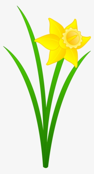 Limp Clipart - Daffodil Flower Clip Art #238493