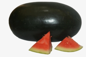 Watermelon #238806