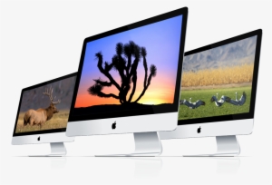 St Page Of Desktop Wildlife Nature #238825