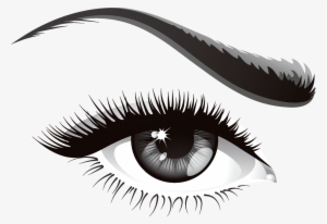 The Human Eye Is A Complex Organ - Lash #239049