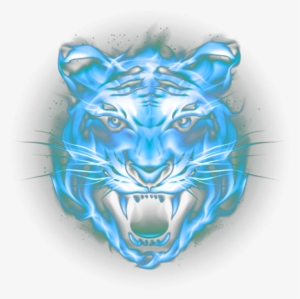 tiger face png transparent tiger face png image free download pngkey tiger face png transparent tiger face