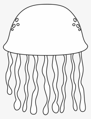 Jellyfish Jelly Fish Outline Clipart Kid - Sea Life Clipart Png Black And White #239811