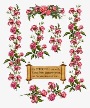 Pink Flower Vine Png Download - Climbing Rose Clip Art #239906