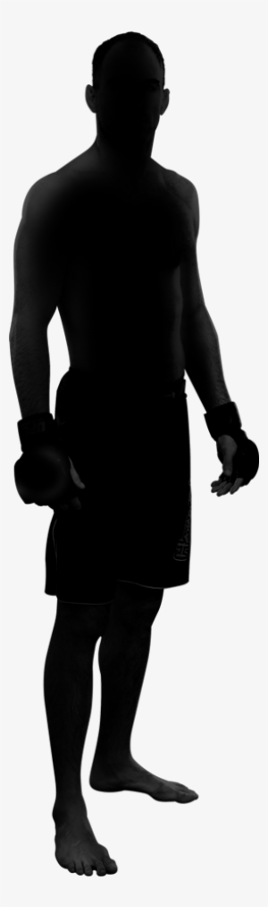 Pingyuan - Shadow Fighter Png #2300703 Pingyuan - Shadow Fighter Png #2300703