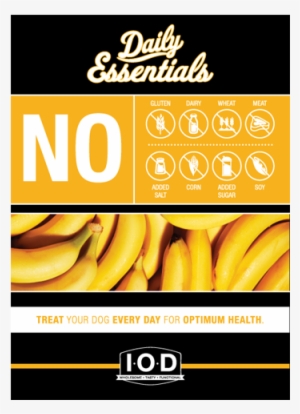 Puppy Growth & Brain Development #2301534