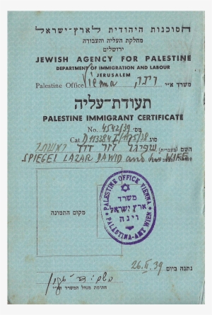 12 - Diploma #2302081