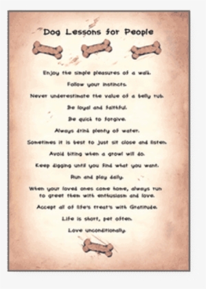 Pet Lovers Centre #2302147