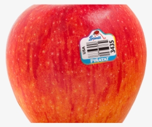 Pinata Apple Sampling - Mcintosh #2302394