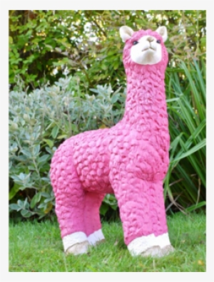 Liberty The Llama - Llama #2302739