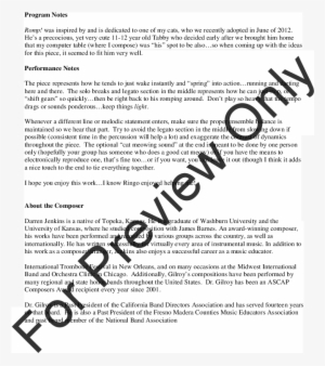 Thumbnail Romp - Storm Chasing William Owens #2303393