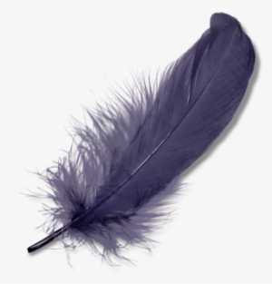 Photoshop Clipart Blue Feather - Feather Png #2305730