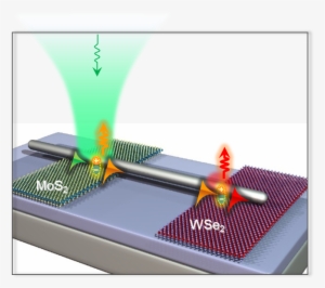 Exciton Circuits #2305758