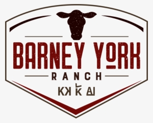 Png - Portable Network Graphics #2307140