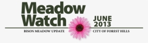 Meadow - Iwatt #2307258