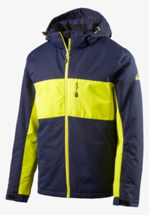 Barney Ux - User Experience #2307615