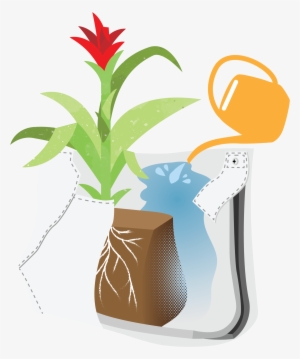 Ii Pocket - Flowerpot #2308967