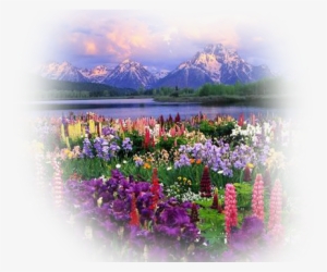 Paisajes Y Flores Png - Grand Teton National Park, Mount Moran #2310974