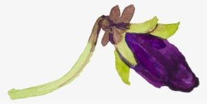 Flowery Transparent - Purple #2311529