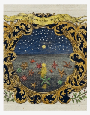 Starfish & Starry Night - Motif #2311590
