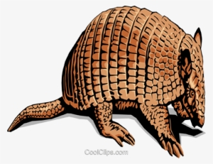 Armadillos Royalty Free Vector Clip Art Illustration - Typical Animal Of Mexico #2312634