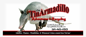 Armadillo #2312872