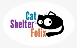 Cat Shelter Felix - Cat #2312961