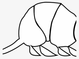 San Antonio #2313032