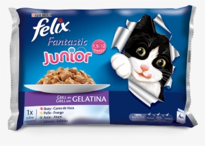 Junior - Felix Junior Agail Gij 10x100 Gr #2313103