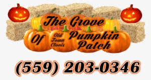 The Grove Of Old Town Clovis Pumpkin Patch Logo Inside #2313314 The Grove Of Old Town Clovis Pumpkin Patch Logo Inside #2313314